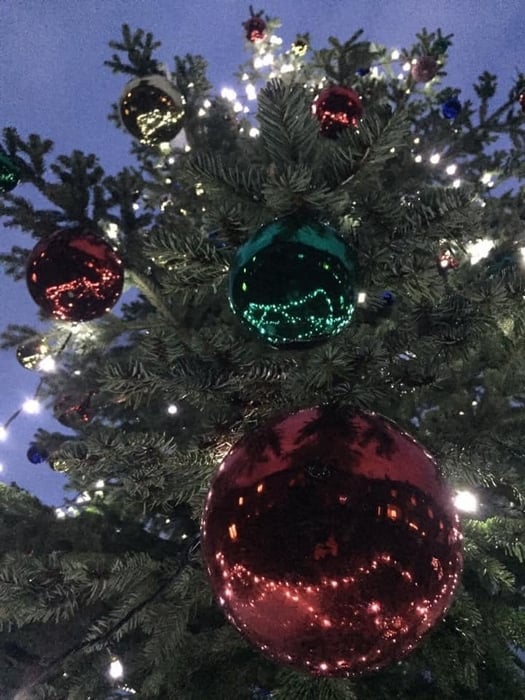 Haigh Woodland Park Christmas Tree Switch On